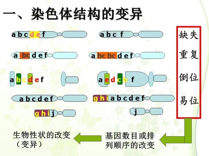 顯微鏡.jpg